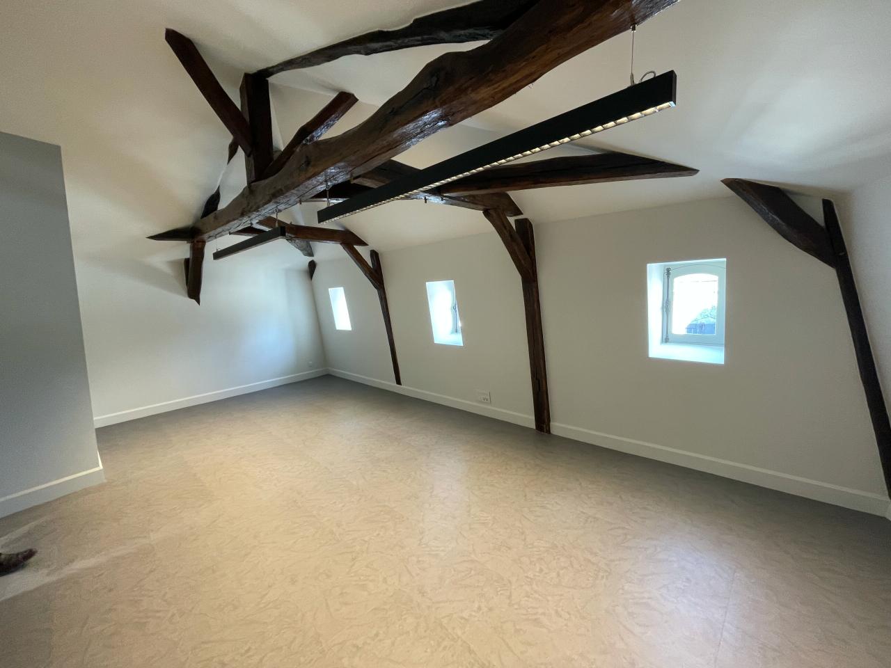 Bureau Tours 444m² Location bureau Tours Indre-et-Loire OLBUR2310745 13